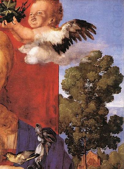 Madonna with the Siskin, Albrecht Durer